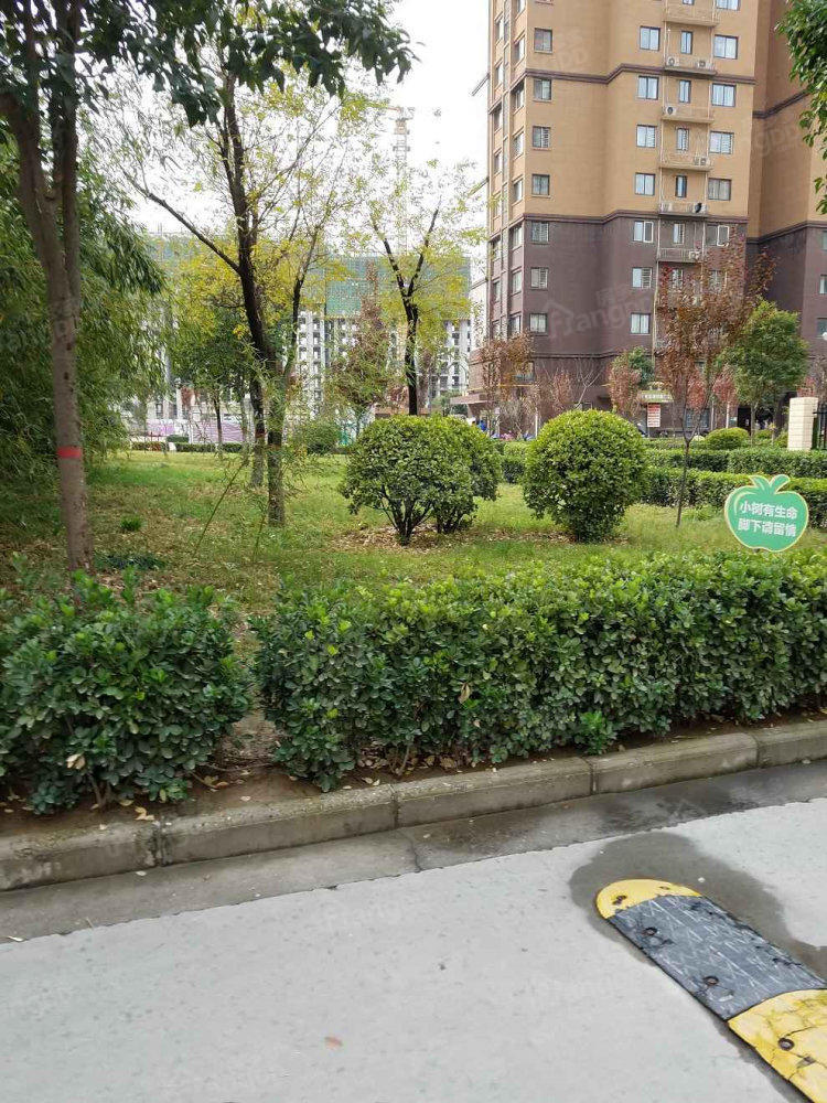 长安家园小区图片