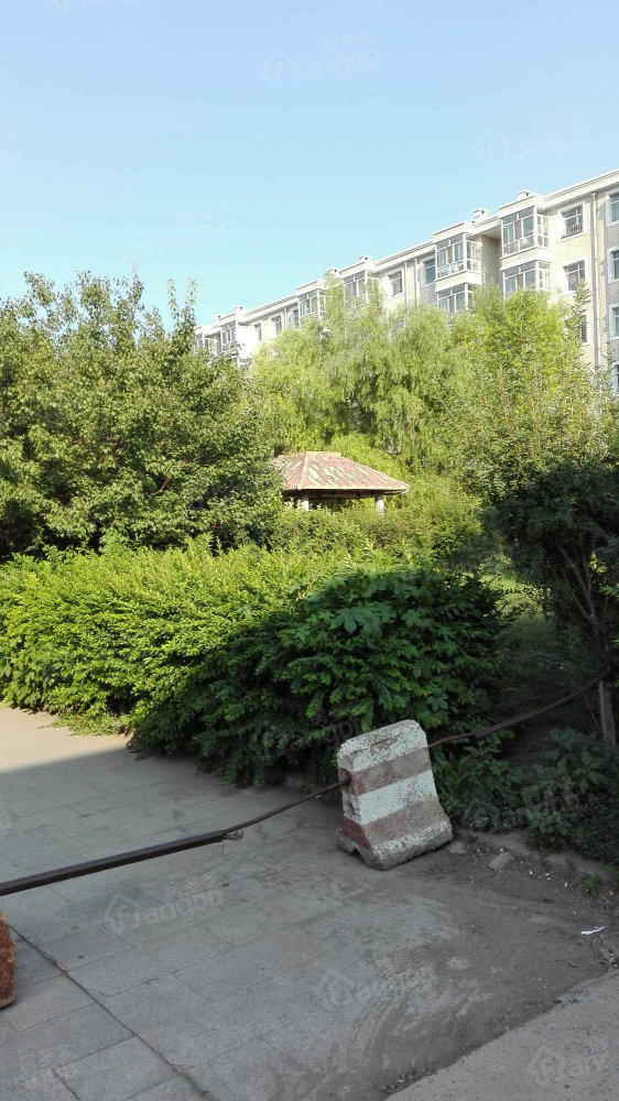 民乐小区小区图片