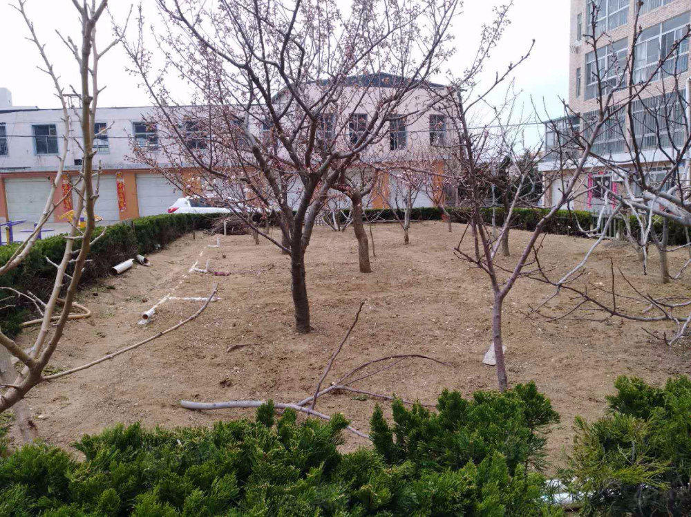 青山名居小区图片