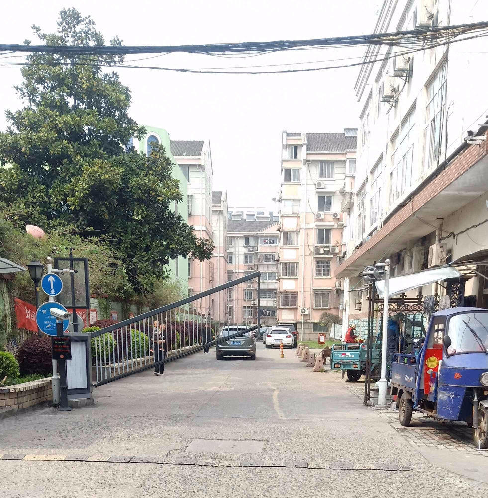 杜鹃小区小区图片