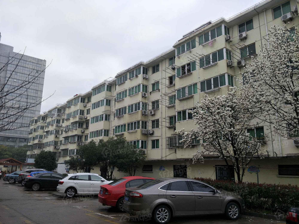 新崇南路小区小区图片