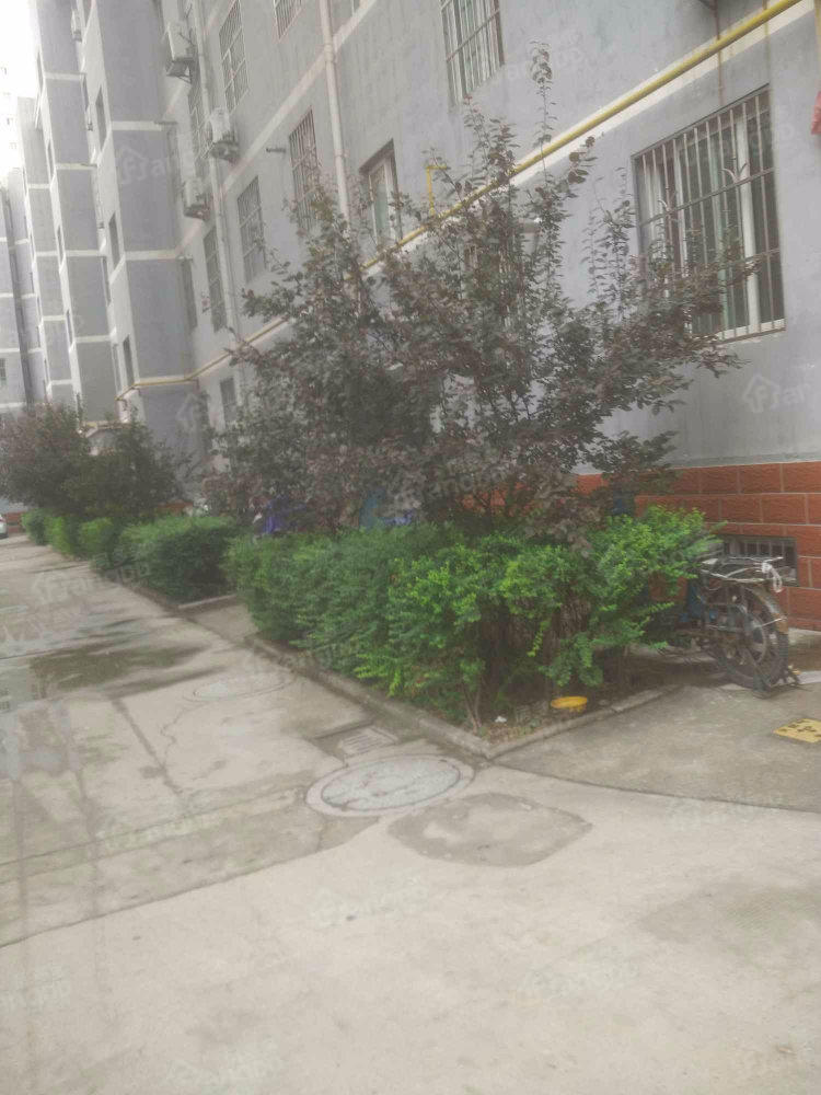 陶瓷厂第一生活区图片
