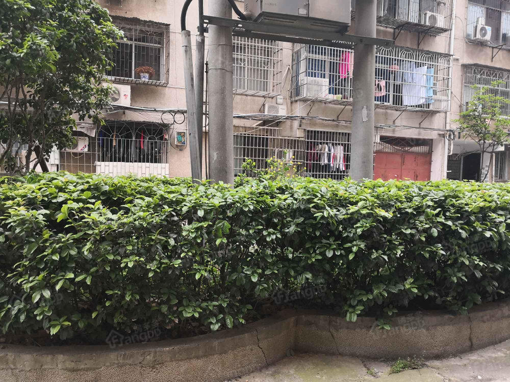 金阳花园(金阳巷)图片