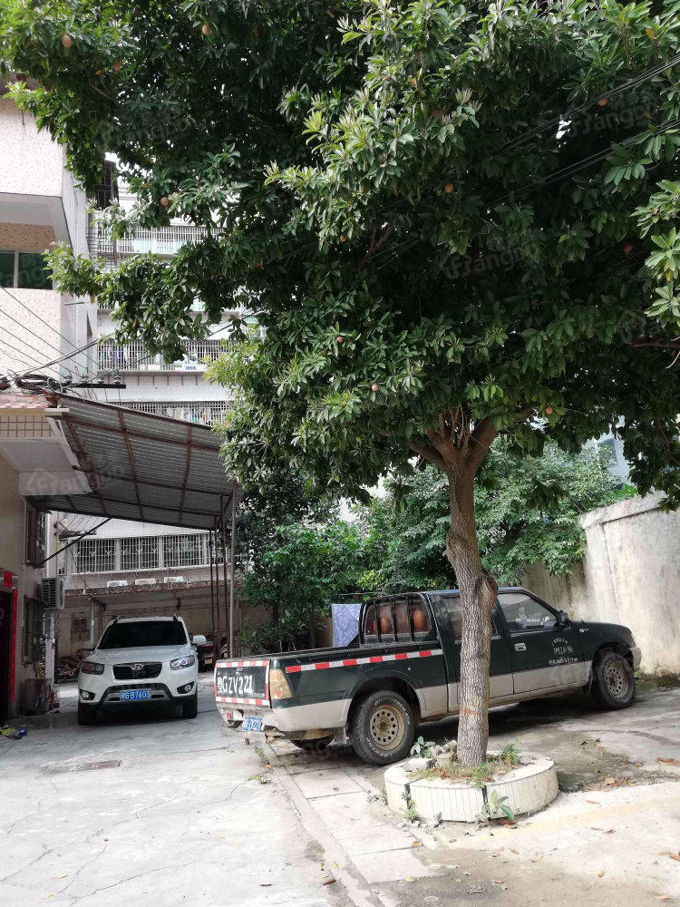 湛江公交汽车公司宿舍小区图片