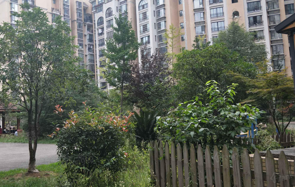 洛卡小城小区图片