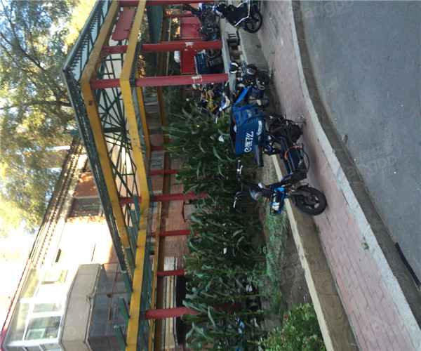 黑龙江省教委宿舍小区图片