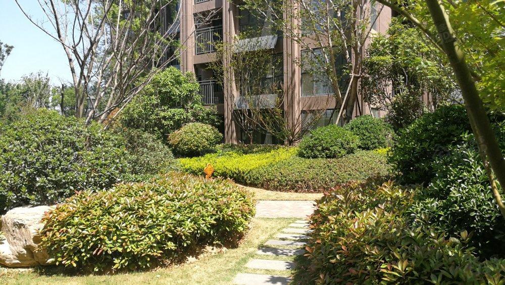 建业壹号城邦小区图片