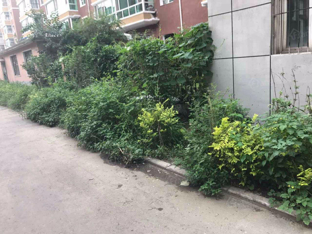 宏盛教师楼小区图片