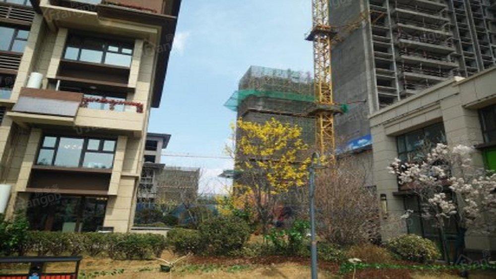 花样年碧云湾小区图片