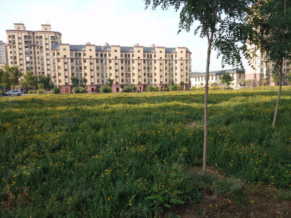 高桥家园小区图片