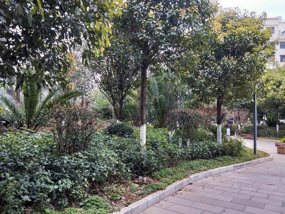 锦林花园图片