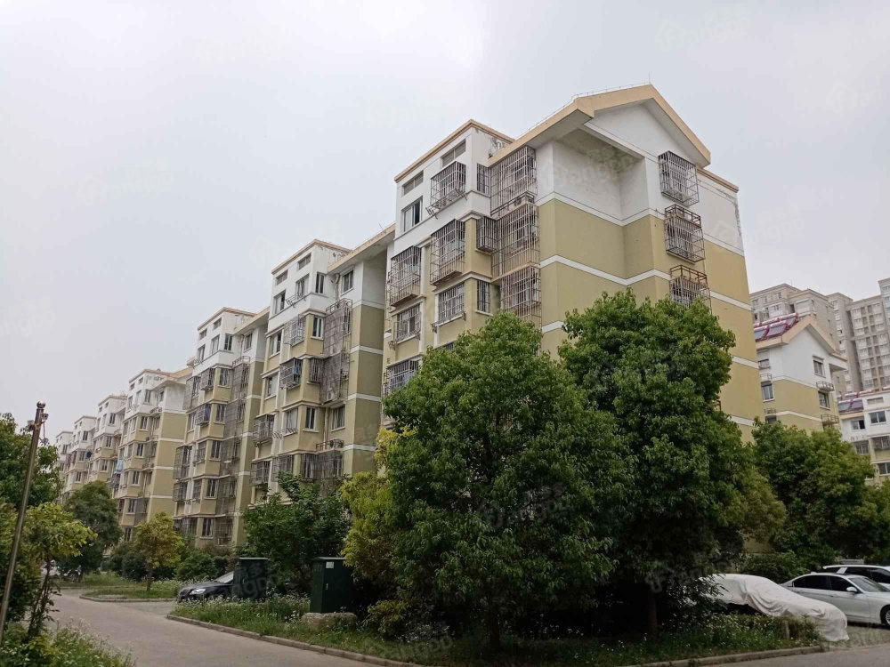 新兴和苑小区图片