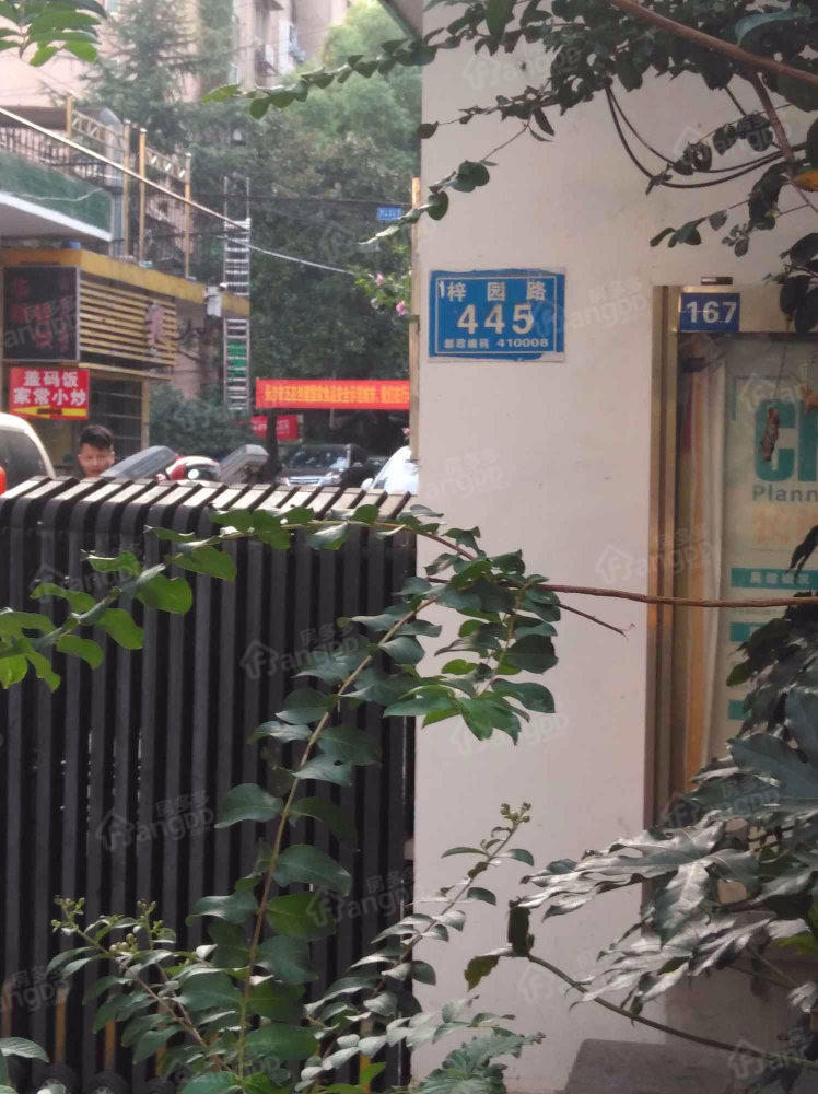 枫树岸小区小区图片