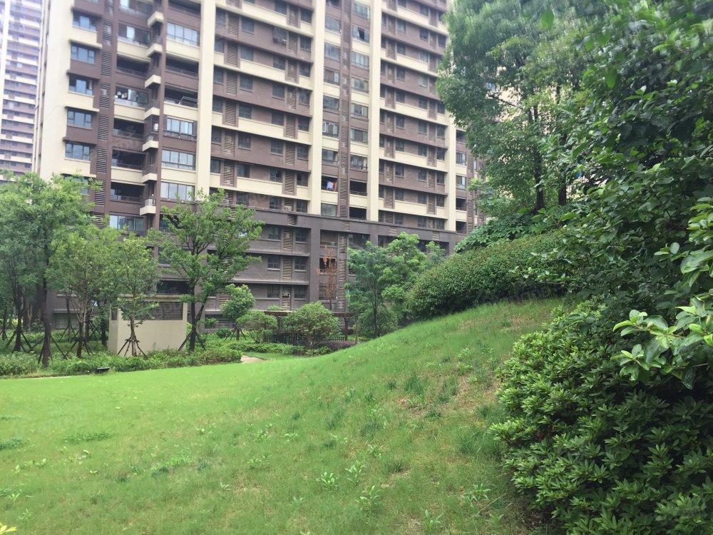天正理想城小区图片