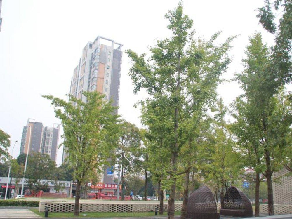 南山十里天池小区图片