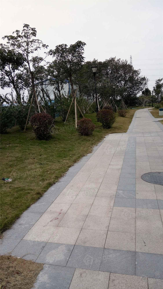 卓远广场小区图片