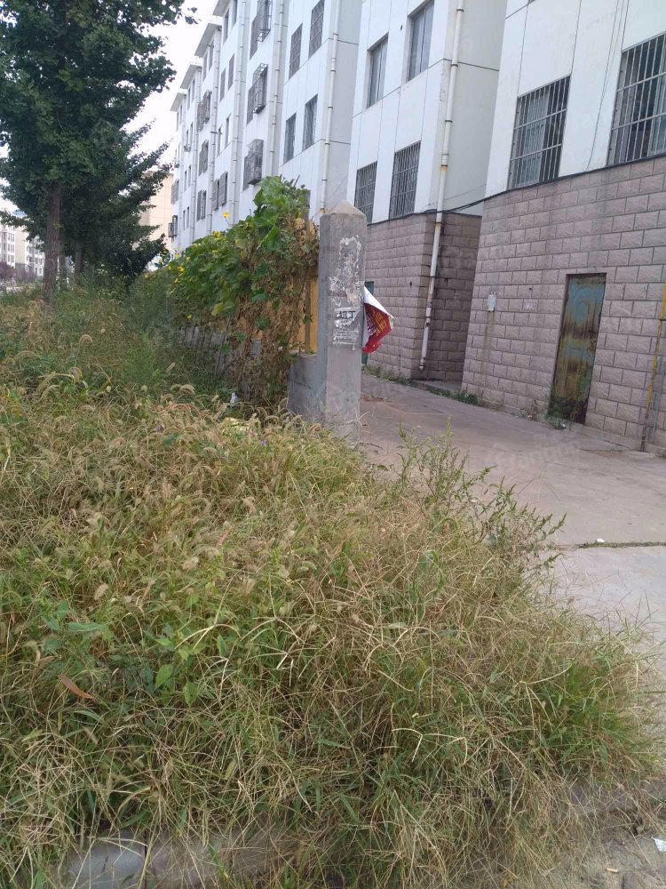教师公寓小区图片