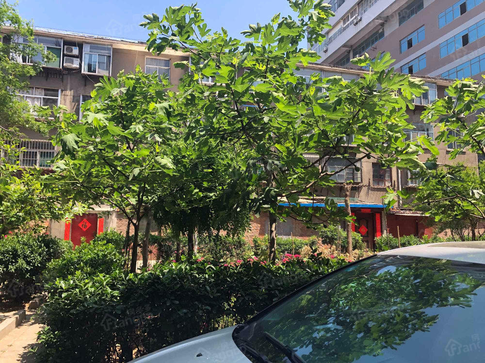 广播局宿舍小区图片