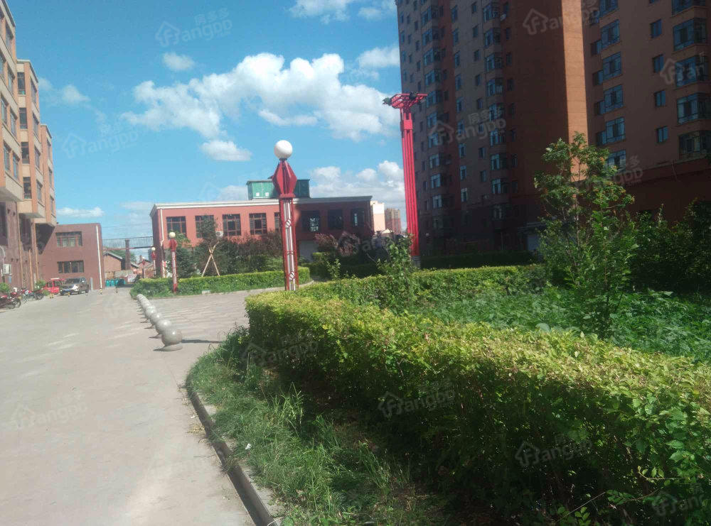 和平小区(阿城区)小区图片