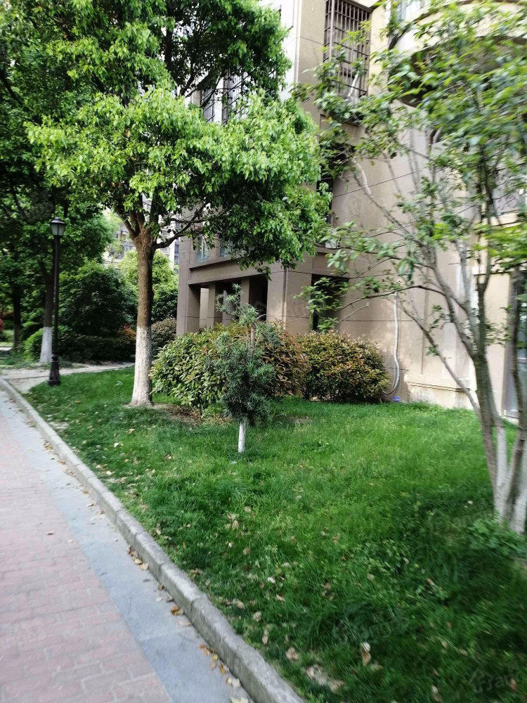 信远朗庭小区图片