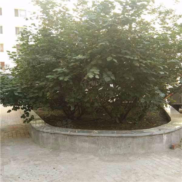 巡船小区(南区)小区图片