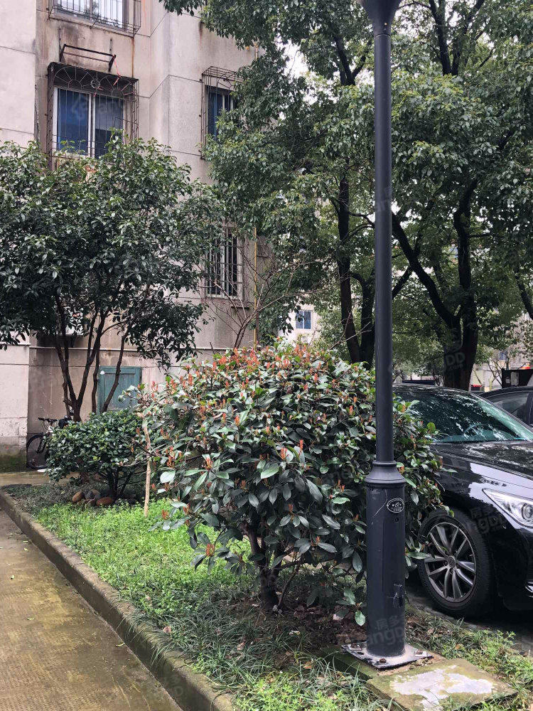 天河街市府宿舍小区图片