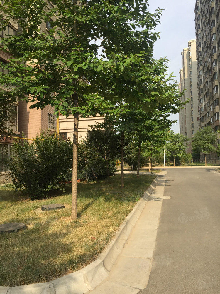 智慧公馆小区图片