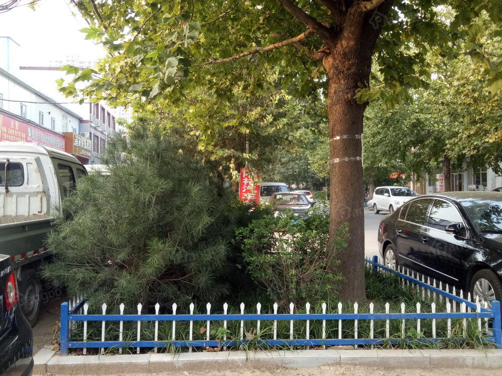 燕赵种业家属楼小区图片