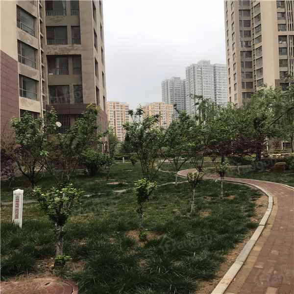 泰山公馆小区图片