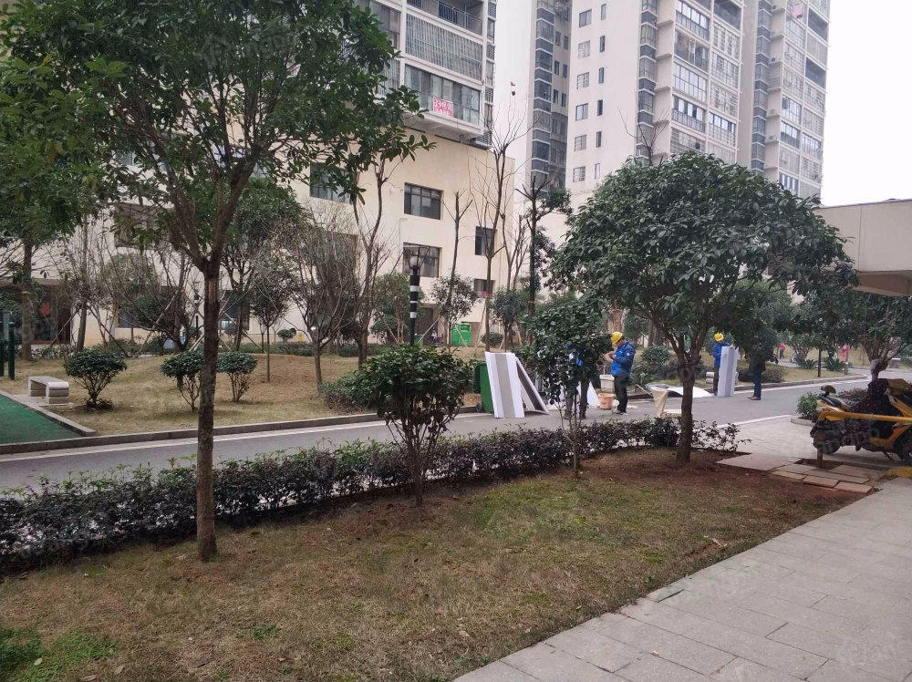 泰宇花园图片