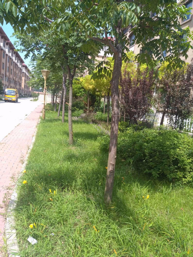官庄豪庭小区图片