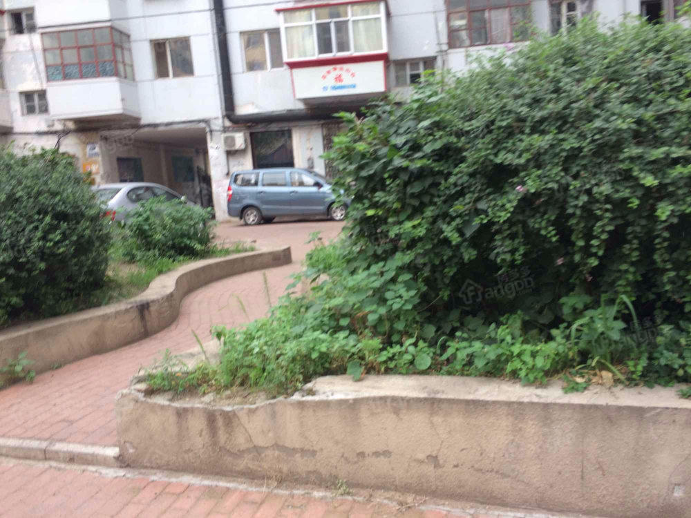 安平街小区小区图片