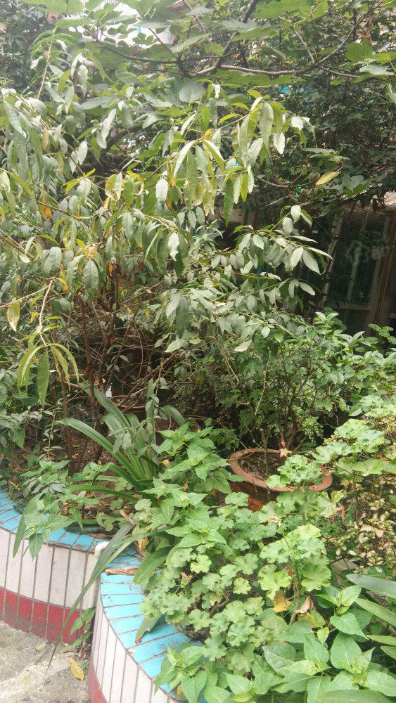 盐务街35号院小区图片