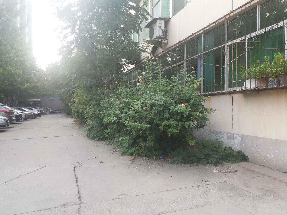 石家庄市第一看守所宿舍小区图片