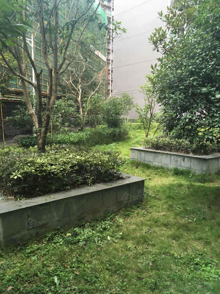 红岩东郡小区图片