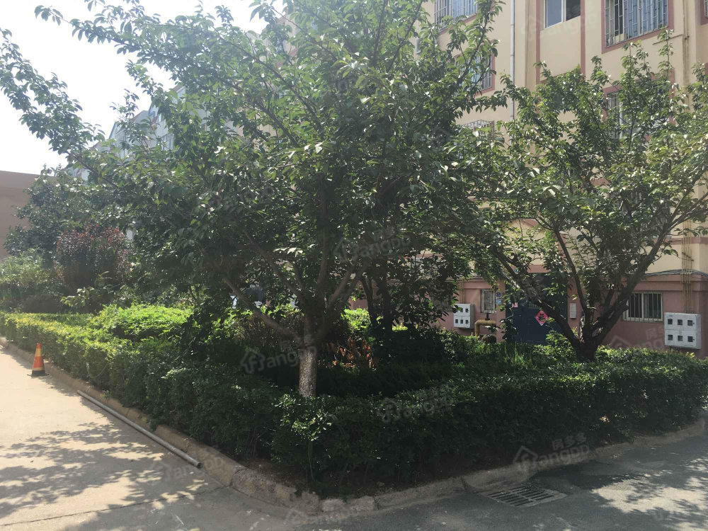 锦华苑小区图片