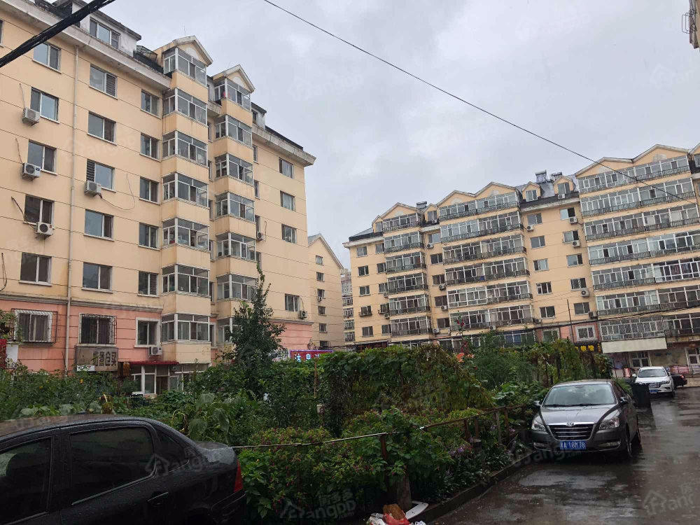 仪兴小区西区小区图片