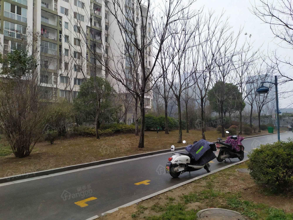 白领公寓图片