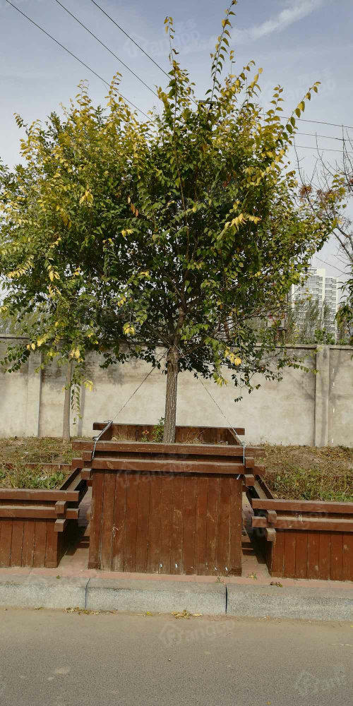 盛世雅居小区图片