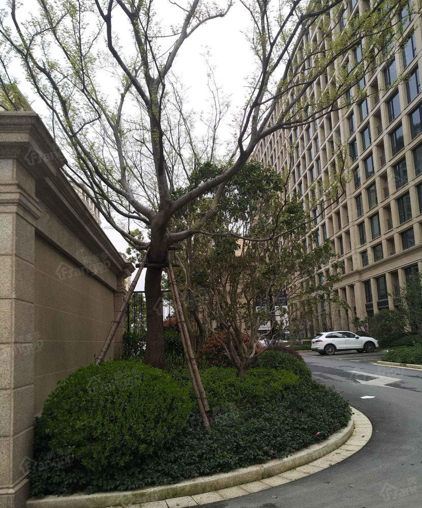 蓝都诚园小区图片