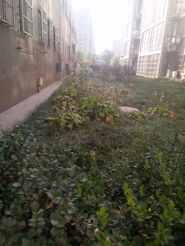和美家源小区图片