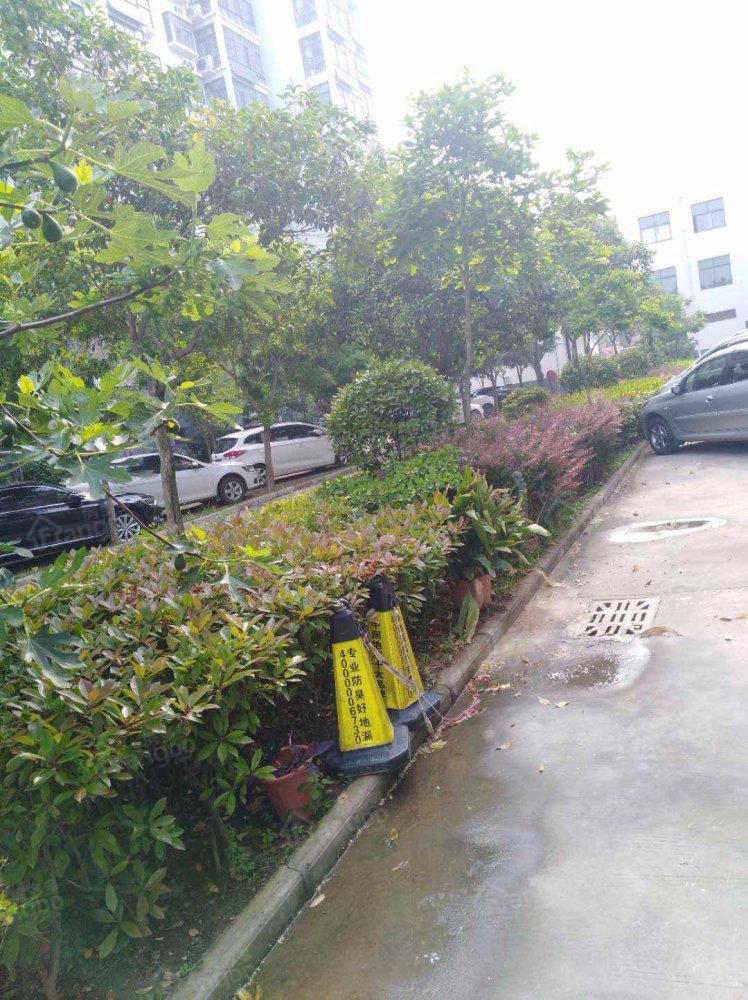 馨园小区(郯城县)小区图片