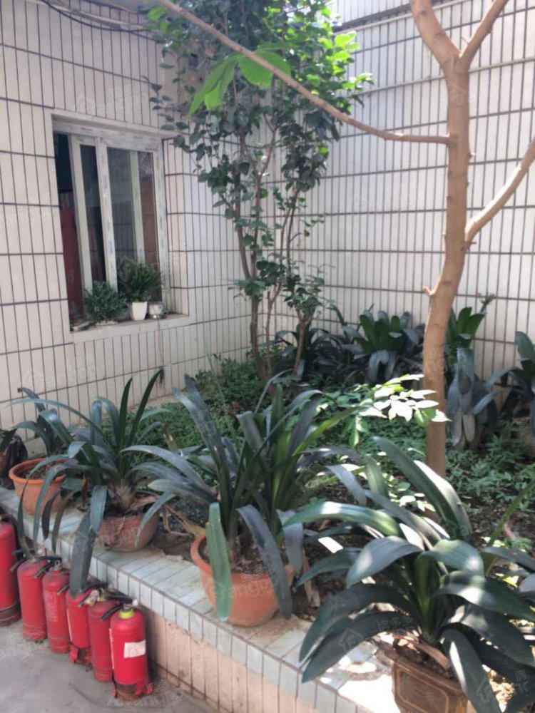 成都市公安消防支队宿舍楼小区图片