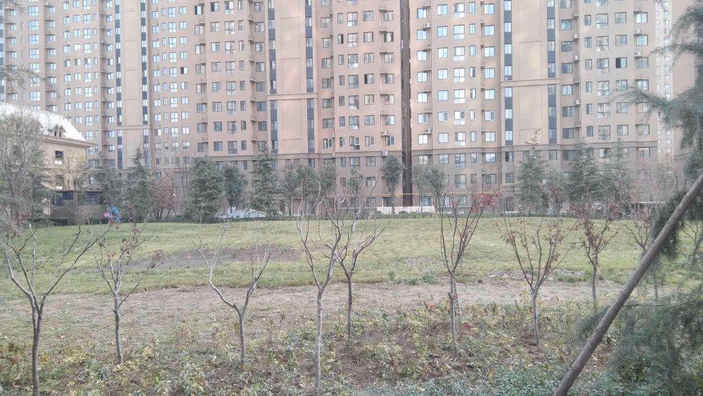林凯城小区图片