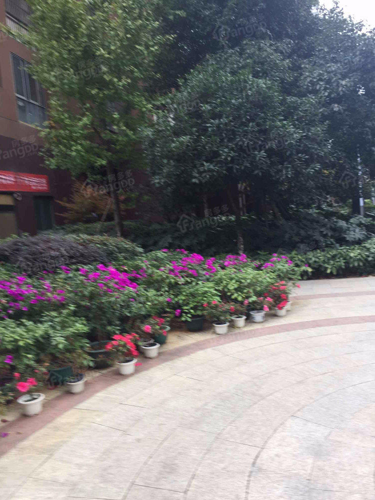 四季花溪小区图片