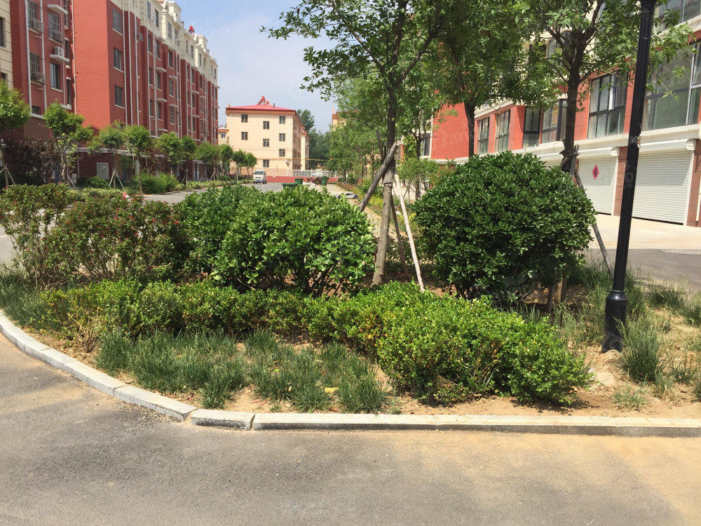 福君居小区图片