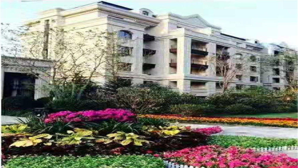 民安城市之光图片