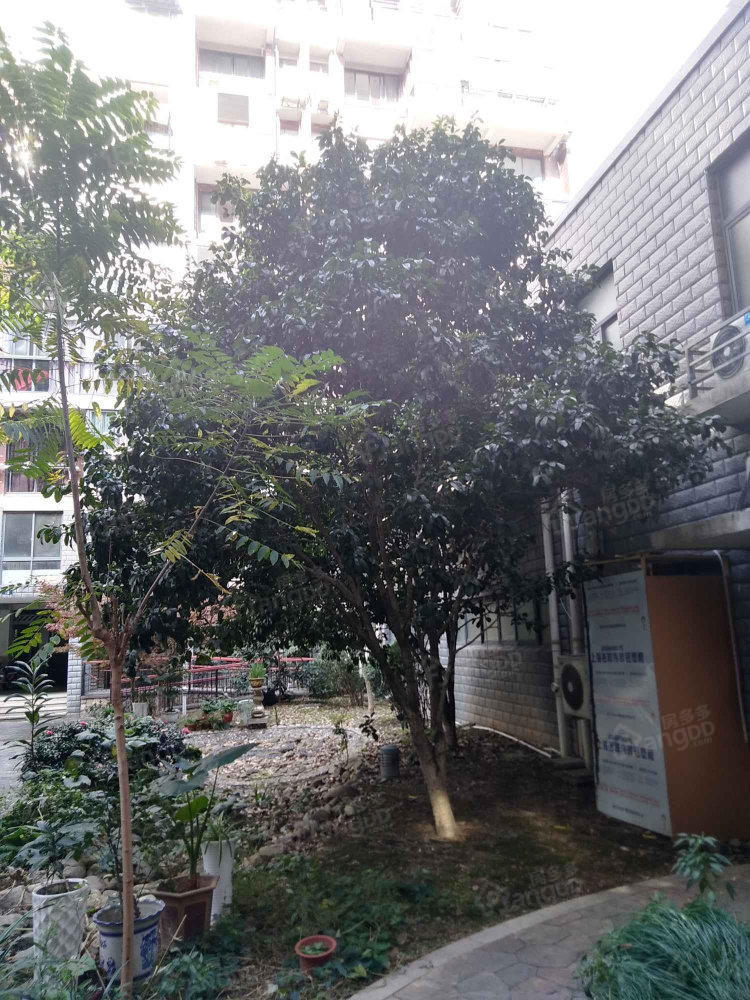 东方瑞市北区小区图片