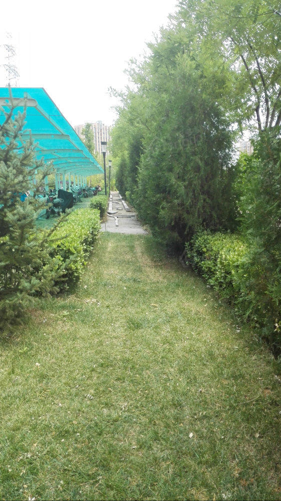 龙湖花千树小区图片