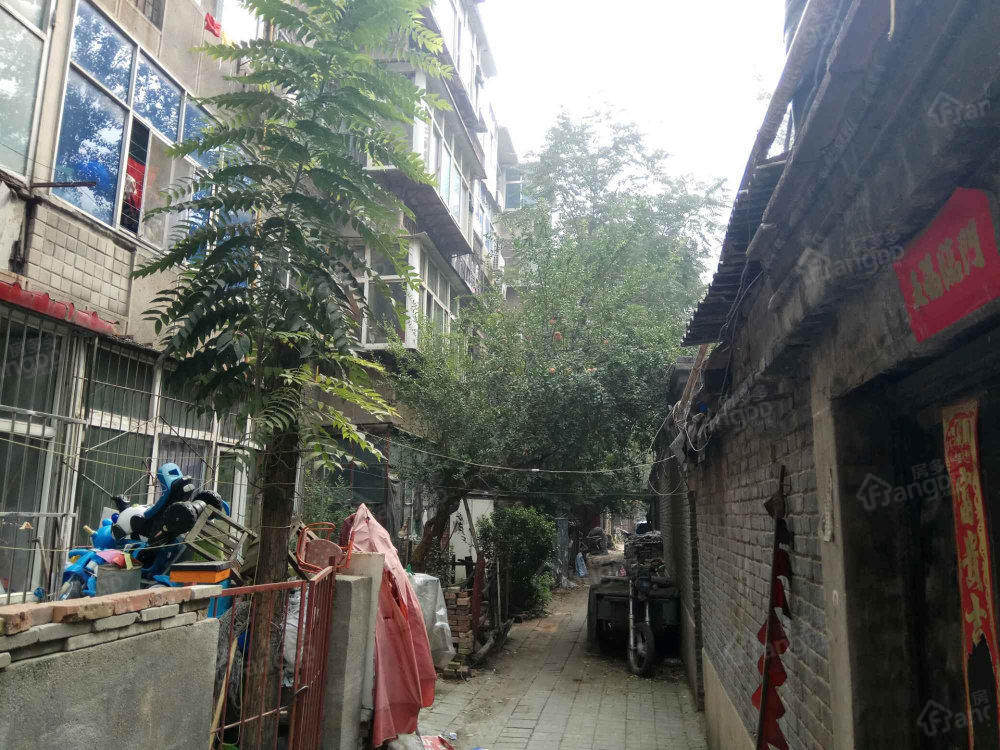 沿西小区东区小区图片